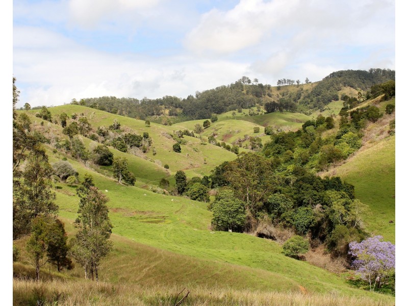 634 Wallanbah Road, Gloucester NSW 2422