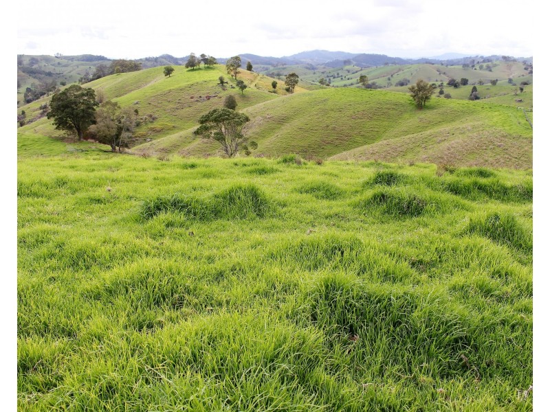 634 Wallanbah Road, Gloucester NSW 2422