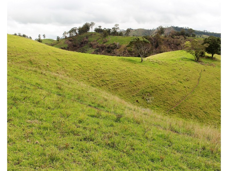 634 Wallanbah Road, Gloucester NSW 2422