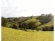 Lot A Mograni Creek Road, Gloucester NSW 2422