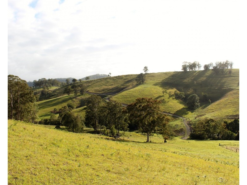 Lot A Mograni Creek Road, Gloucester NSW 2422