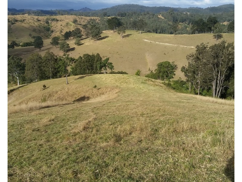 Lot A Mograni Creek Road, Gloucester NSW 2422