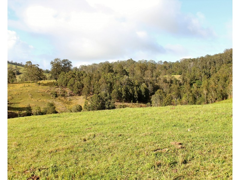Lot A Mograni Creek Road, Gloucester NSW 2422