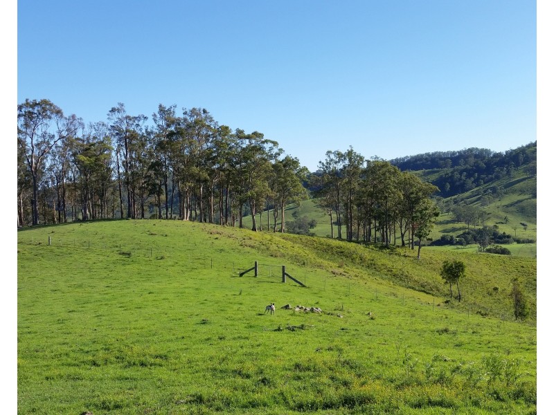 Lot A Mograni Creek Road, Gloucester NSW 2422