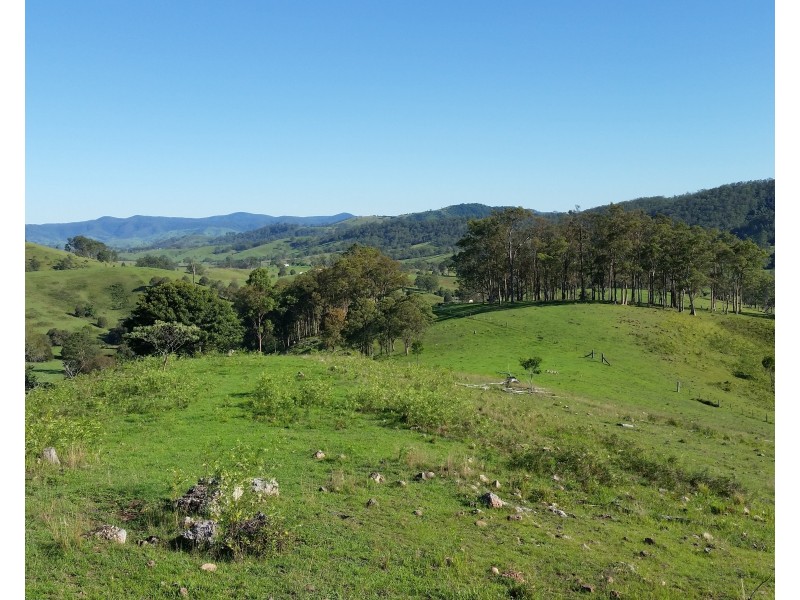 Lot A Mograni Creek Road, Gloucester NSW 2422
