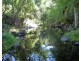 3898 Thunderbolts Way, Gloucester NSW 2422