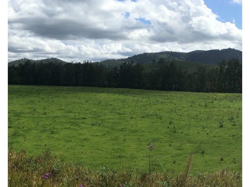 2747 Scone Road, Gloucester NSW 2422