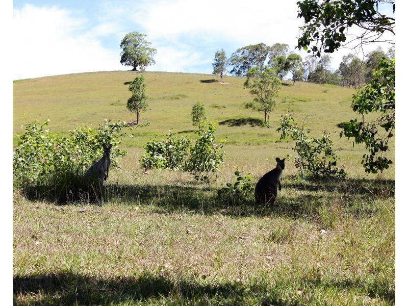 2747 Scone Road, Gloucester NSW 2422
