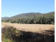 895 Bowman River Road, Gloucester NSW 2422
