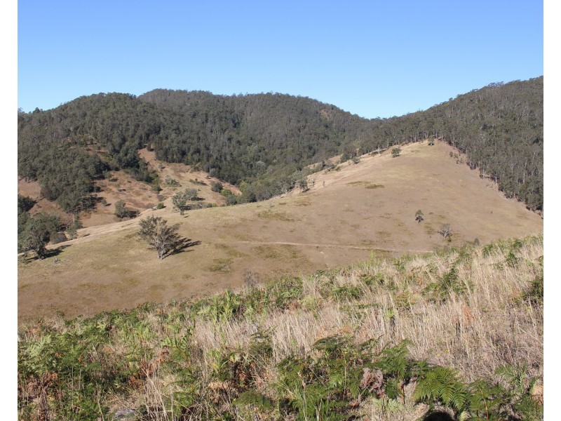 895 Bowman River Road, Gloucester NSW 2422