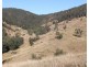 895 Bowman River Road, Gloucester NSW 2422