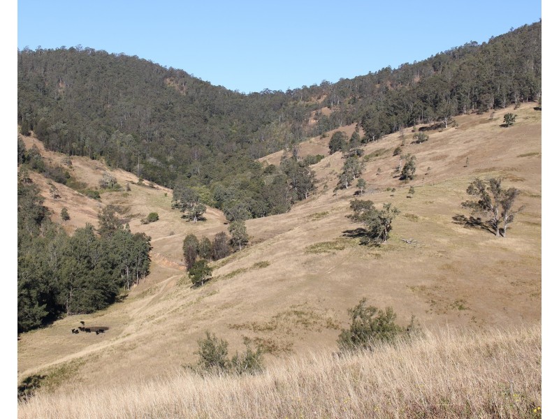 895 Bowman River Road, Gloucester NSW 2422