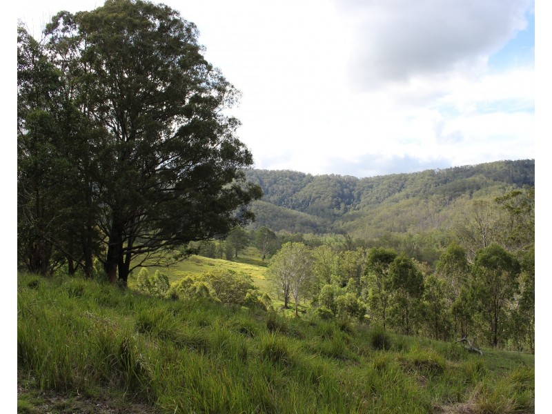 Lot 117 Bowman River Road, Gloucester NSW 2422