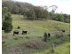 Lot 117 Bowman River Road, Gloucester NSW 2422