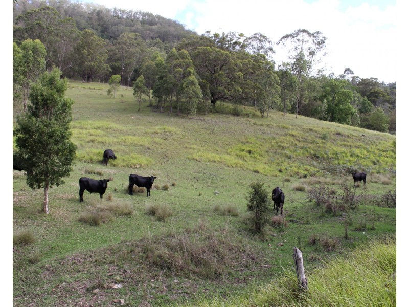 Lot 117 Bowman River Road, Gloucester NSW 2422