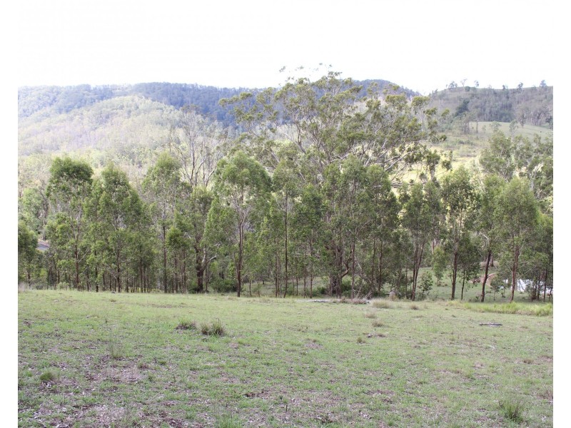 Lot 117 Bowman River Road, Gloucester NSW 2422