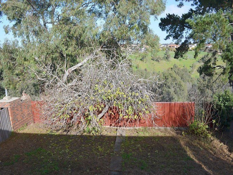 Avondale Heights VIC 3034