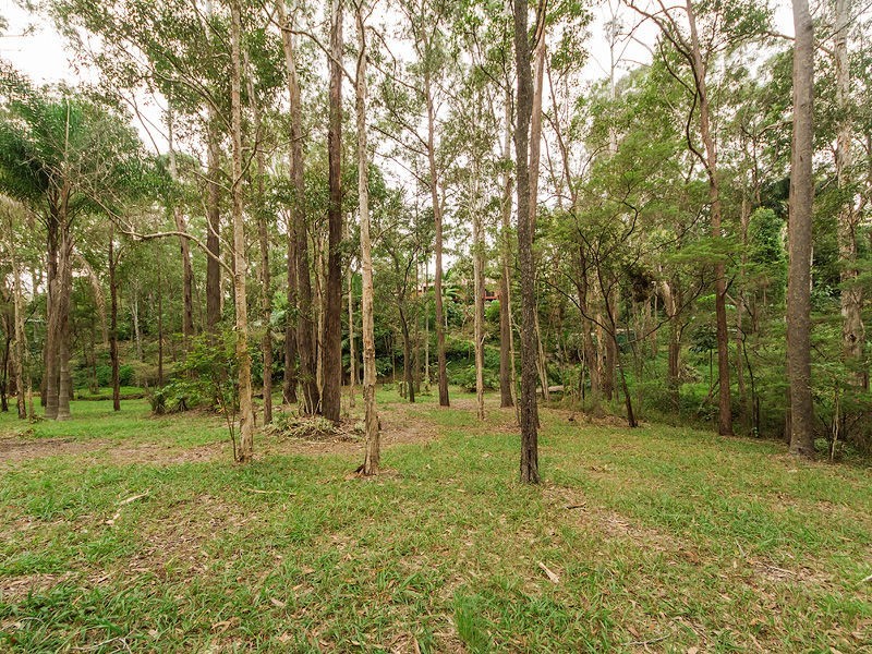 7 Durang Place, Reedy Creek QLD 4227