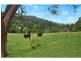 574 Tallebudgera Creek Road, Tallebudgera Valley QLD 4228
