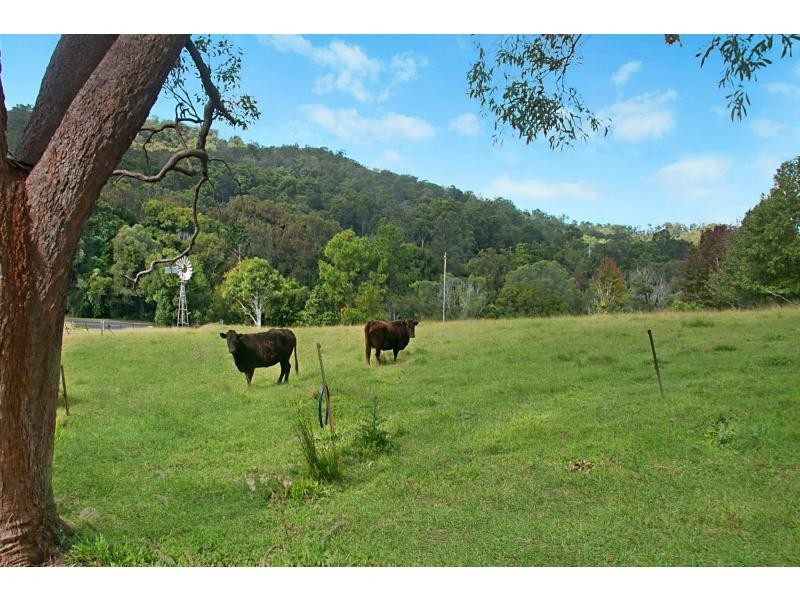 574 Tallebudgera Creek Road, Tallebudgera Valley QLD 4228