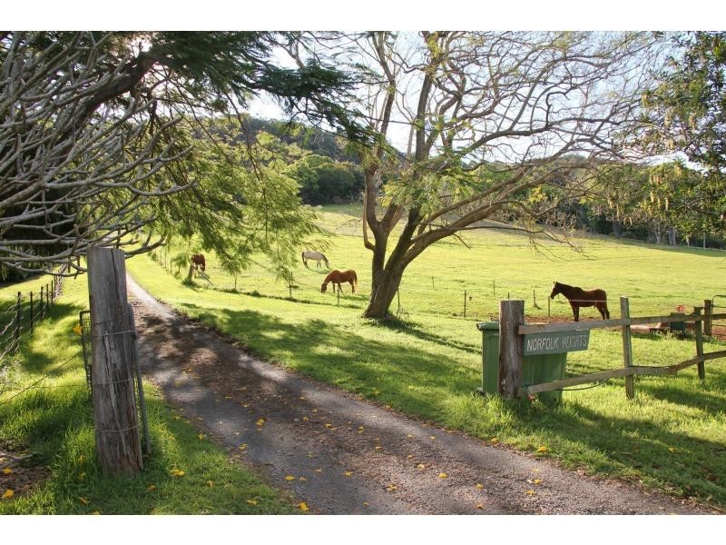 616 Tallebudgera Creek Road, Tallebudgera Valley QLD 4228