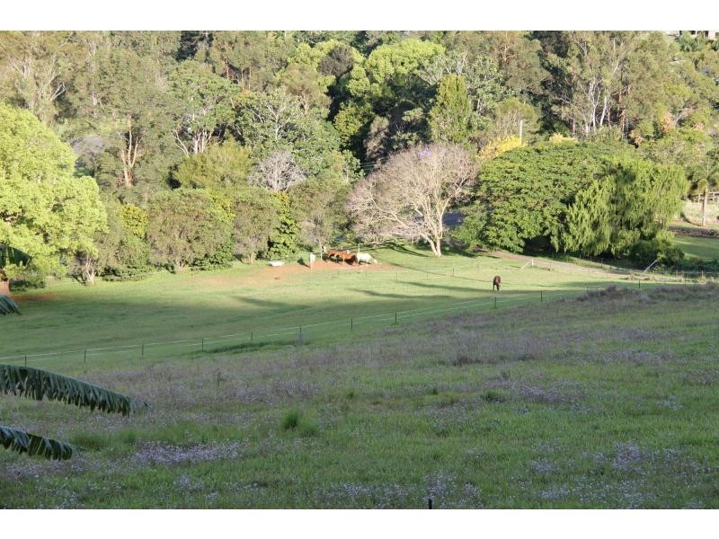 616 Tallebudgera Creek Road, Tallebudgera Valley QLD 4228