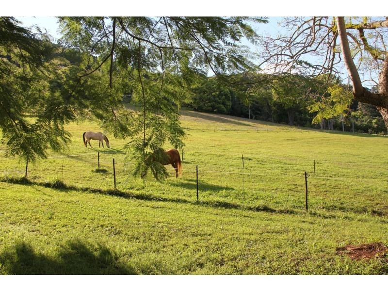 616 Tallebudgera Creek Road, Tallebudgera Valley QLD 4228