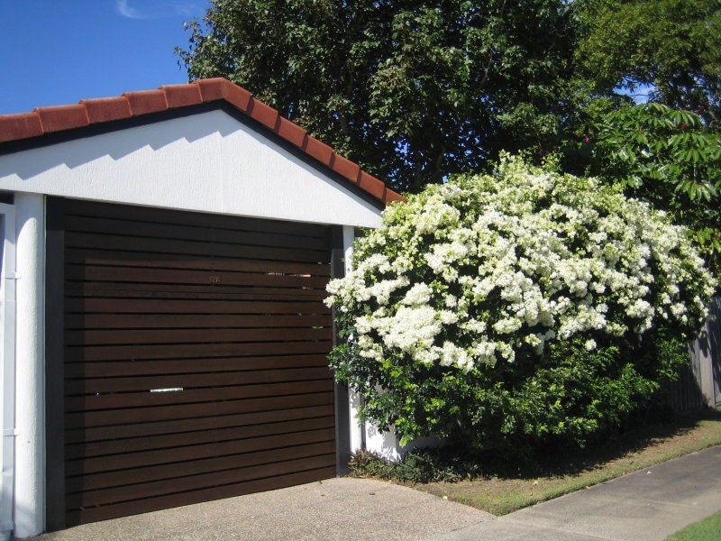 12A Elder Entrance, Burleigh Heads QLD 4220