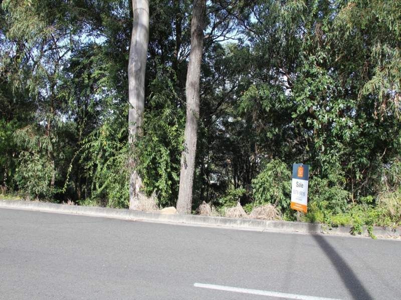 20 Skyline Terrace, Burleigh Heads QLD 4220