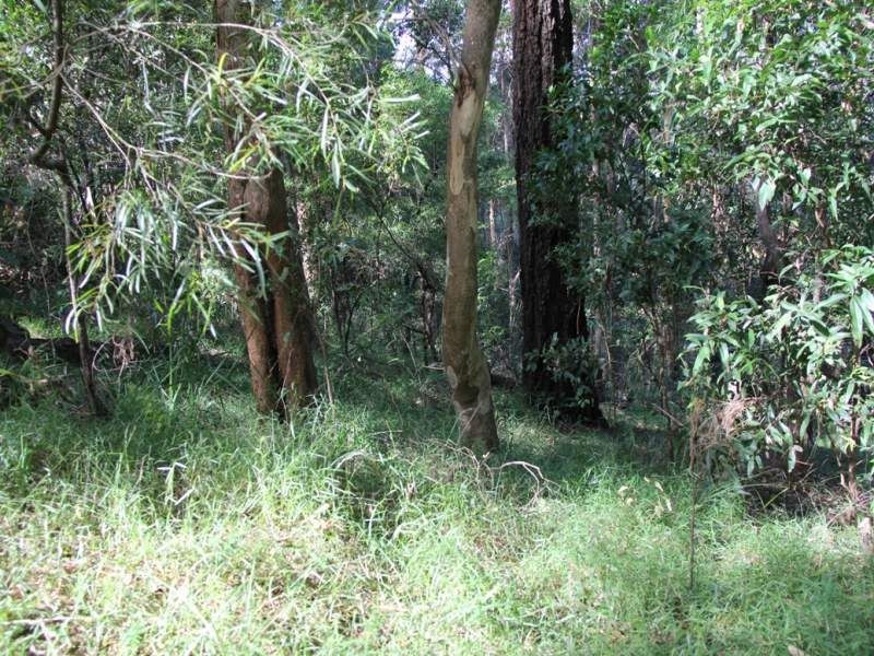 20 Skyline Terrace, Burleigh Heads QLD 4220