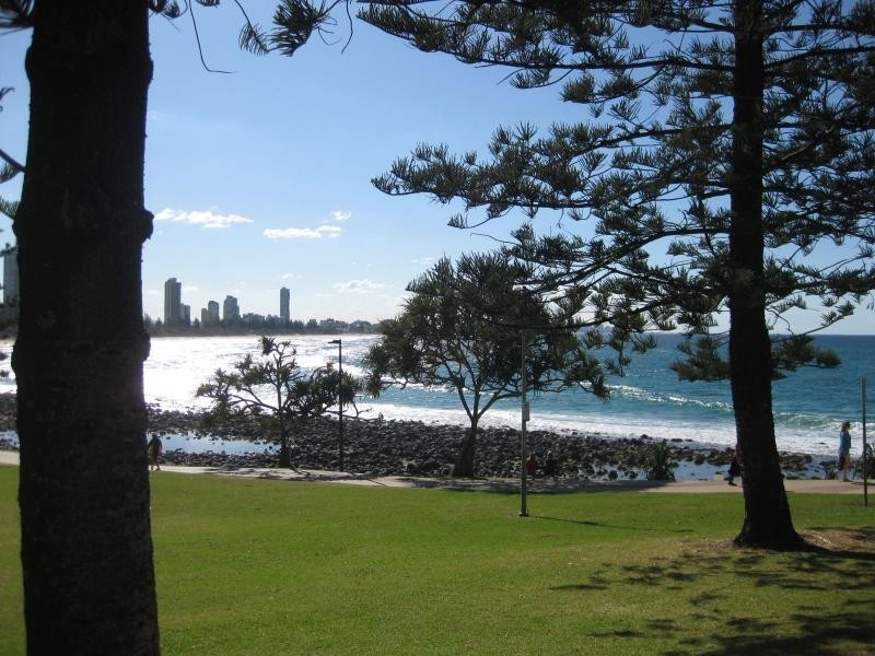325 Reedy Creek Road, Burleigh Waters QLD 4220