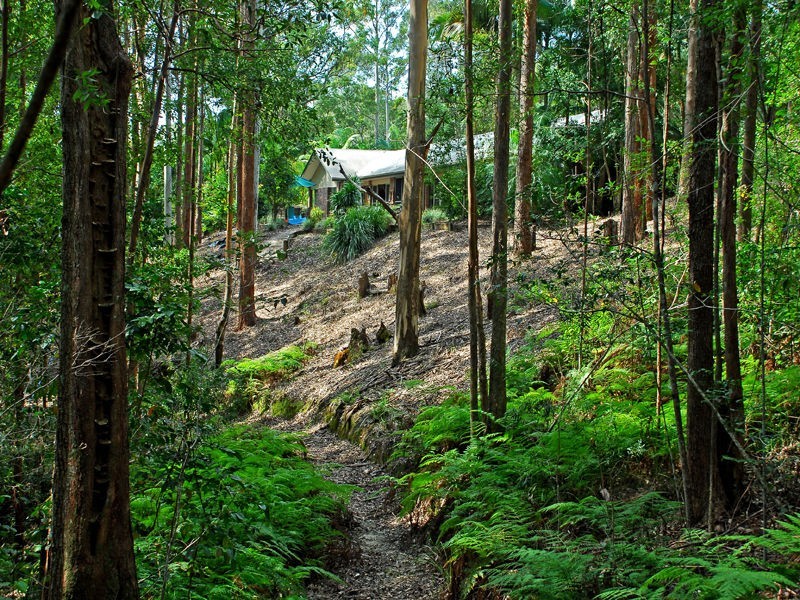 50 Luxton Court, Tallebudgera Valley QLD 4228