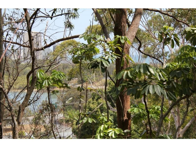 27 Thrower Drive, Currumbin QLD 4223