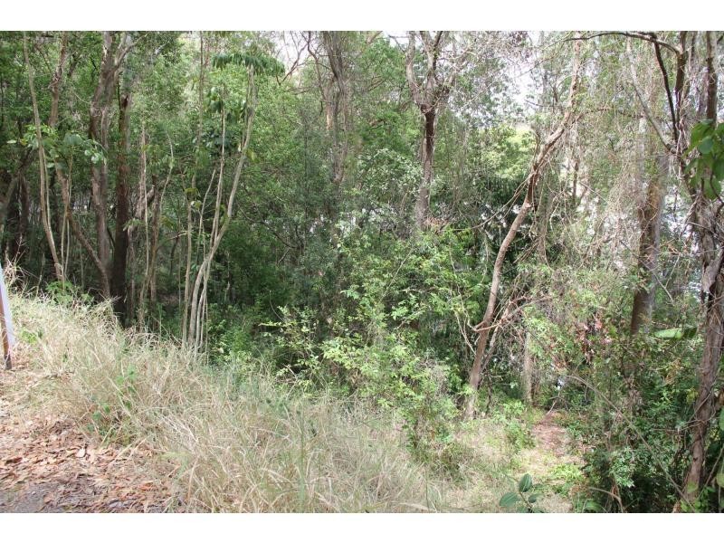 27 Thrower Drive, Currumbin QLD 4223