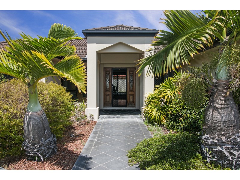 6 Tropicana Cct, Burleigh Waters QLD 4220