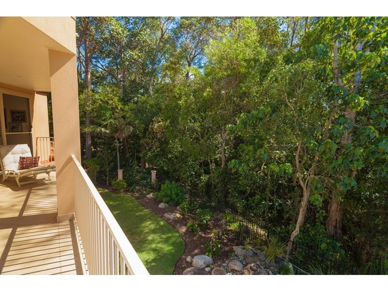 501 Noosa Springs Drive, Noosa Springs QLD 4567