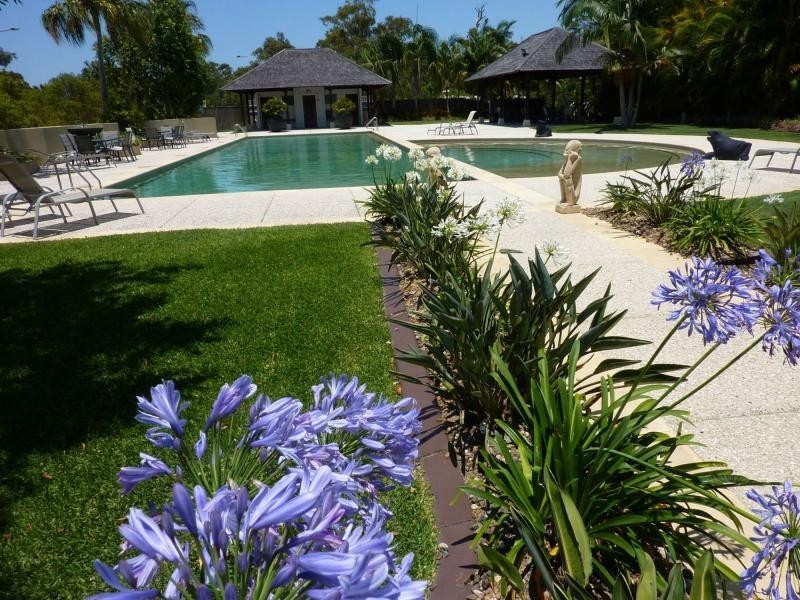 19/115 Peregian Springs Drive, Peregian Springs QLD 4573