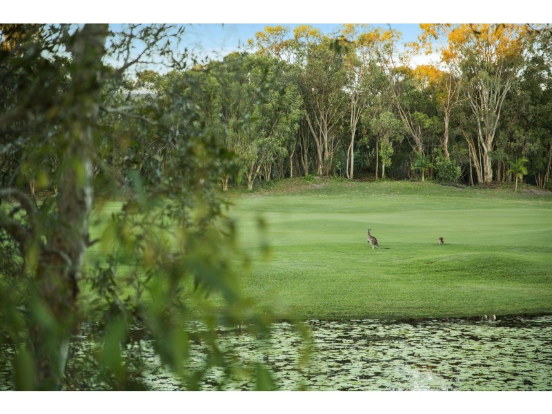 7 Hetherington Drive, Twin Waters QLD 4564