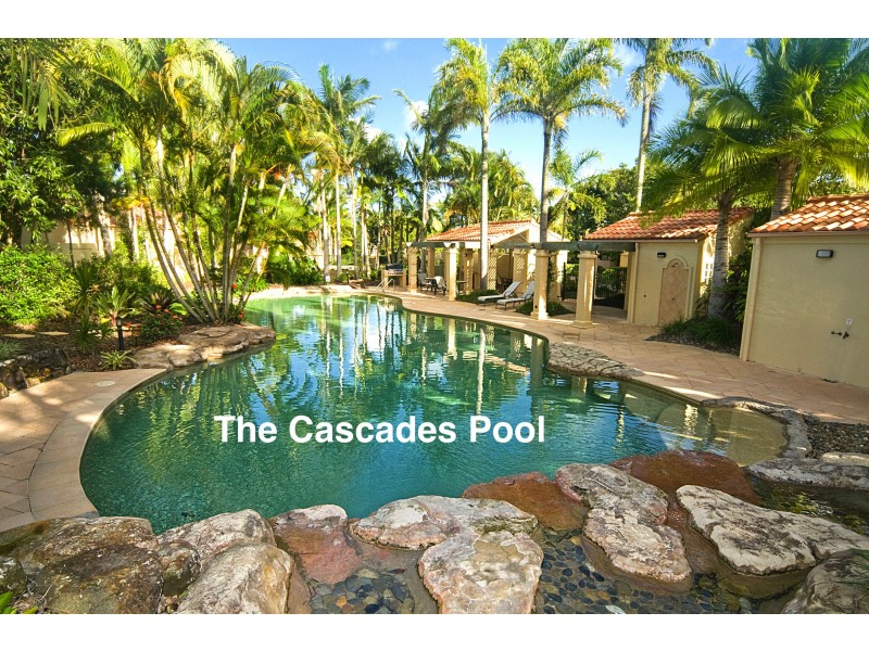 156/61 Noosa Springs Dr, Noosa Heads QLD 4567