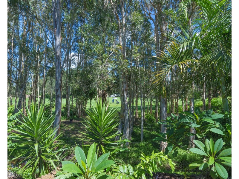 22 Hetherington Dr, Twin Waters QLD 4564