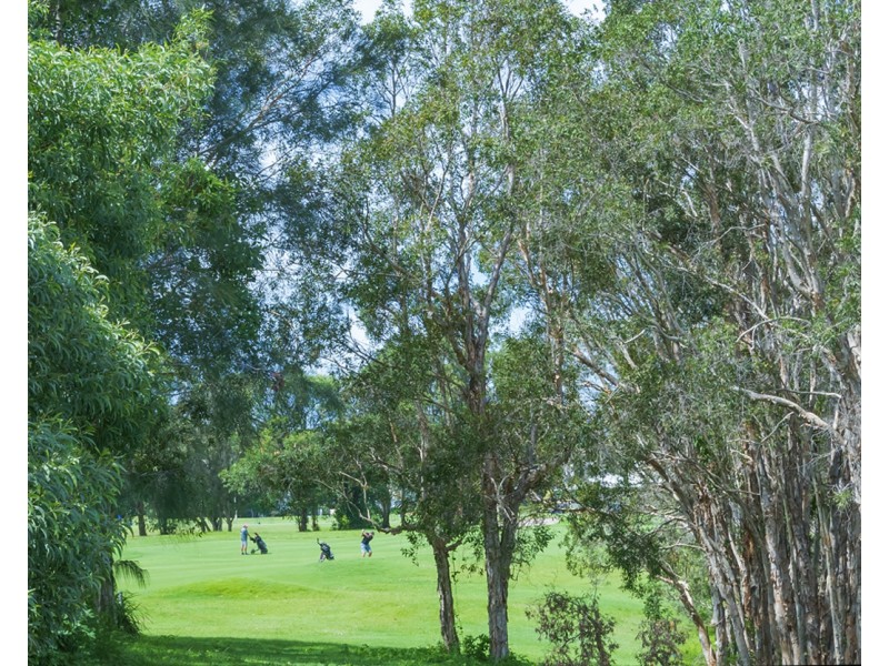 21 Hetherington Dr, Twin Waters QLD 4564