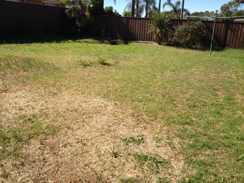 Ambarvale NSW 2560