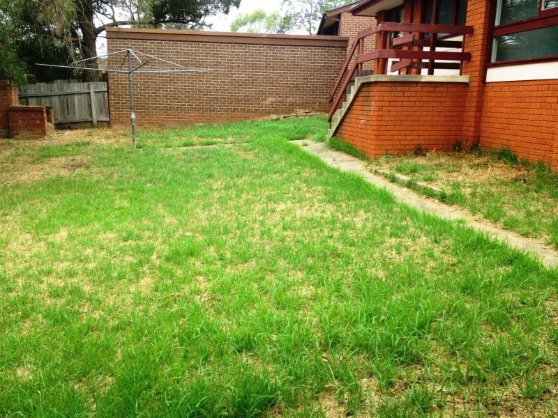 8 Collaroy Road, Woodbine NSW 2560