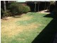 253 Copperfield Drive, Rosemeadow NSW 2560