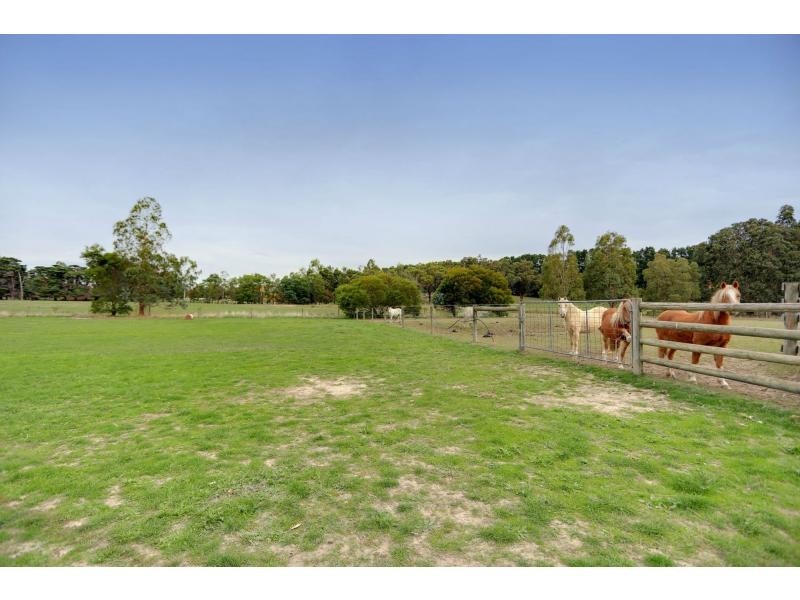 1866 Melba Highway, Dixons Creek VIC 3775