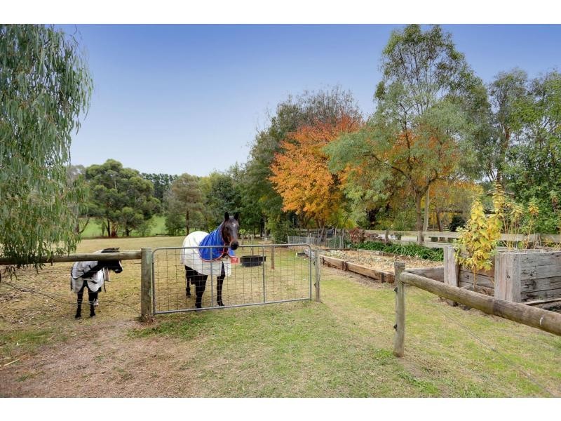 1866 Melba Highway, Dixons Creek VIC 3775
