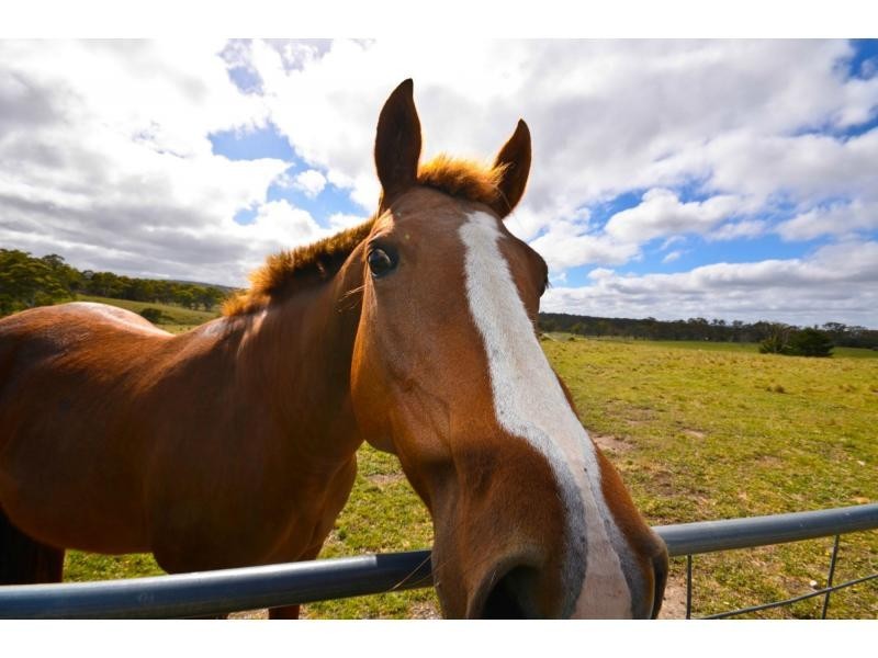 524 Jerrara Road, Marulan NSW 2579