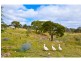 524 Jerrara Road, Marulan NSW 2579