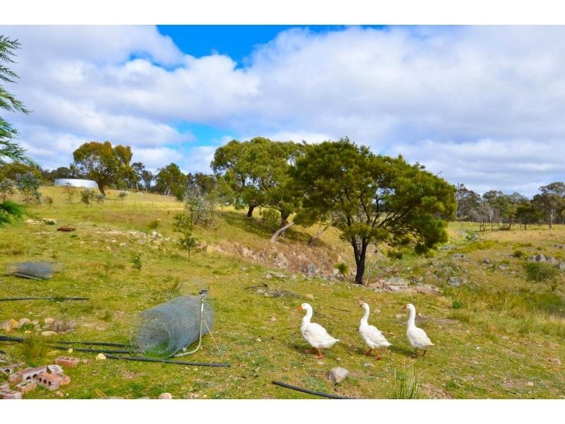 524 Jerrara Road, Marulan NSW 2579
