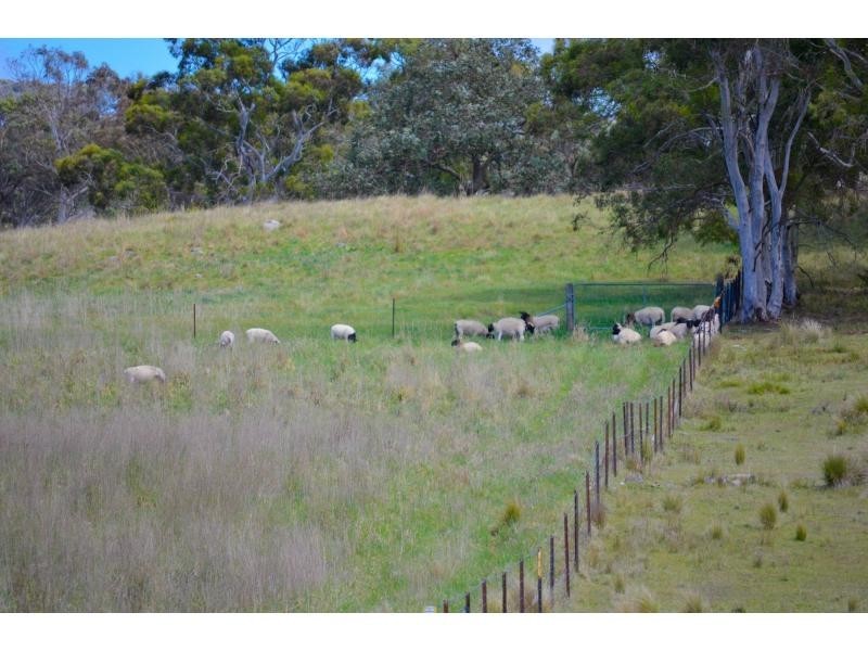 524 Jerrara Road, Marulan NSW 2579